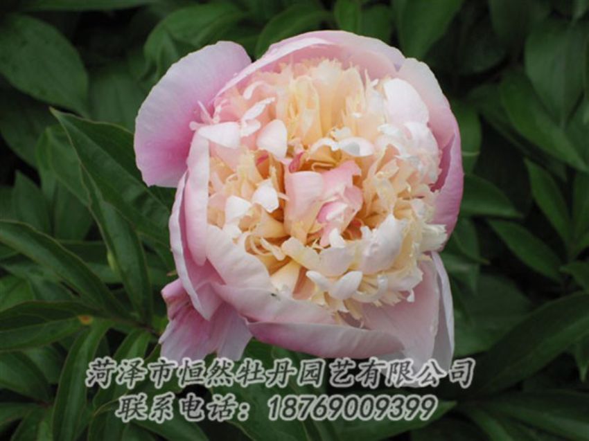 點擊查看詳細信息<br>標題：湖光山色 閱讀次數：1235