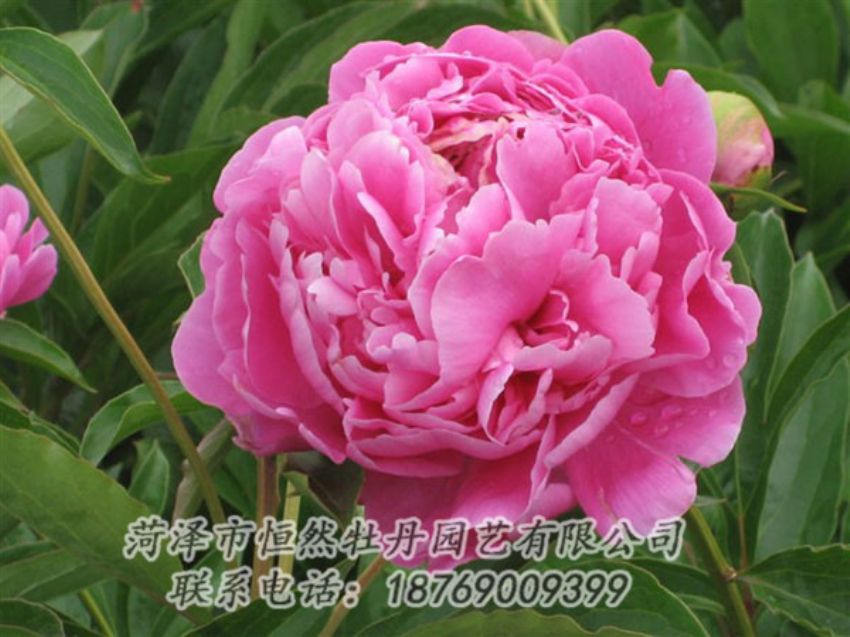 點(diǎn)擊查看詳細(xì)信息<br>標(biāo)題：月照山河 閱讀次數(shù)：1025